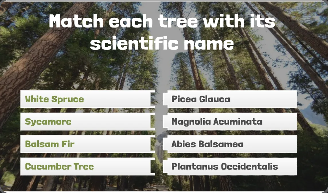 A game matching each tree with its scientific name