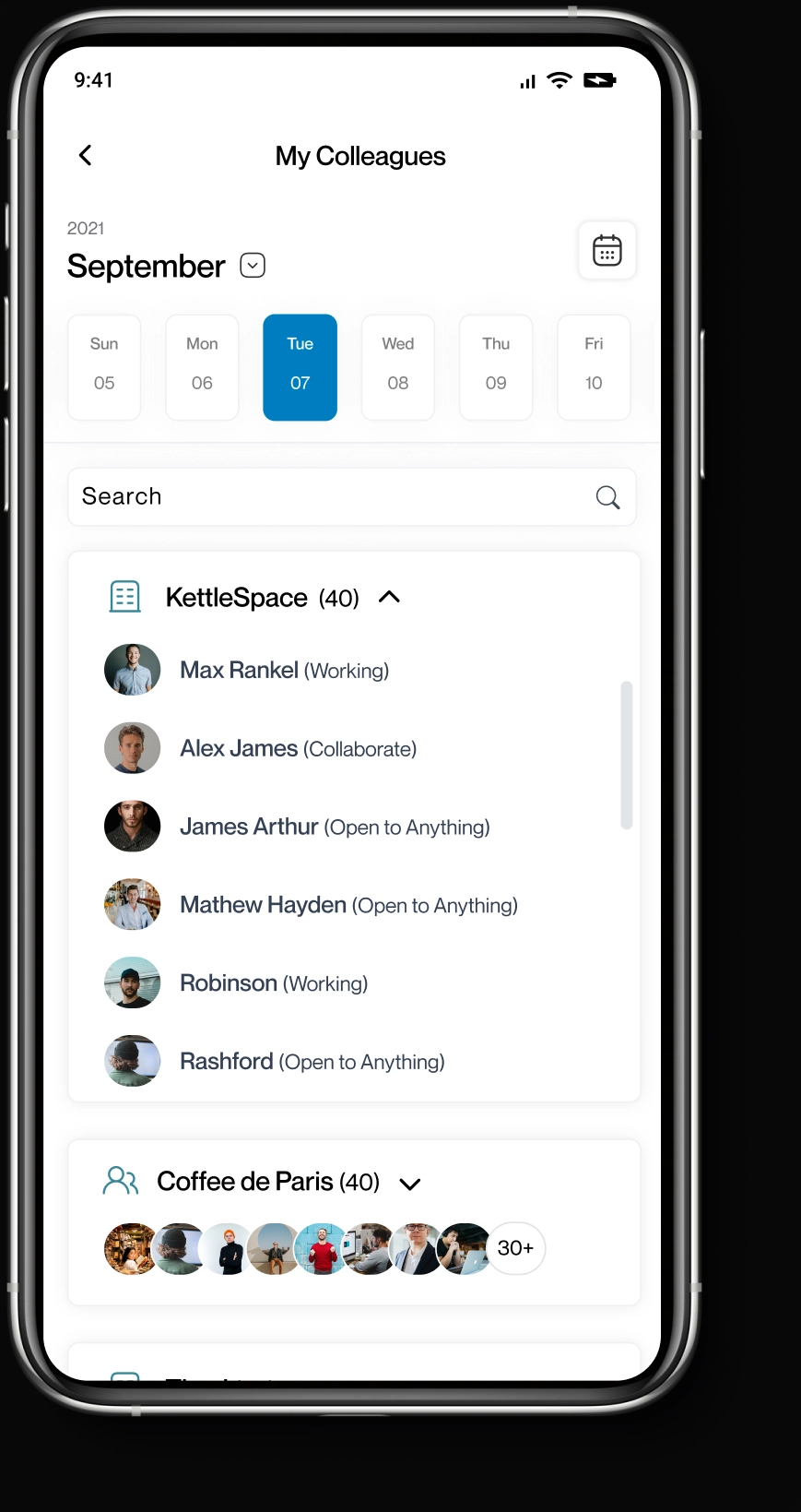 My Colleagues screen: the KettleSpace team with each person's status