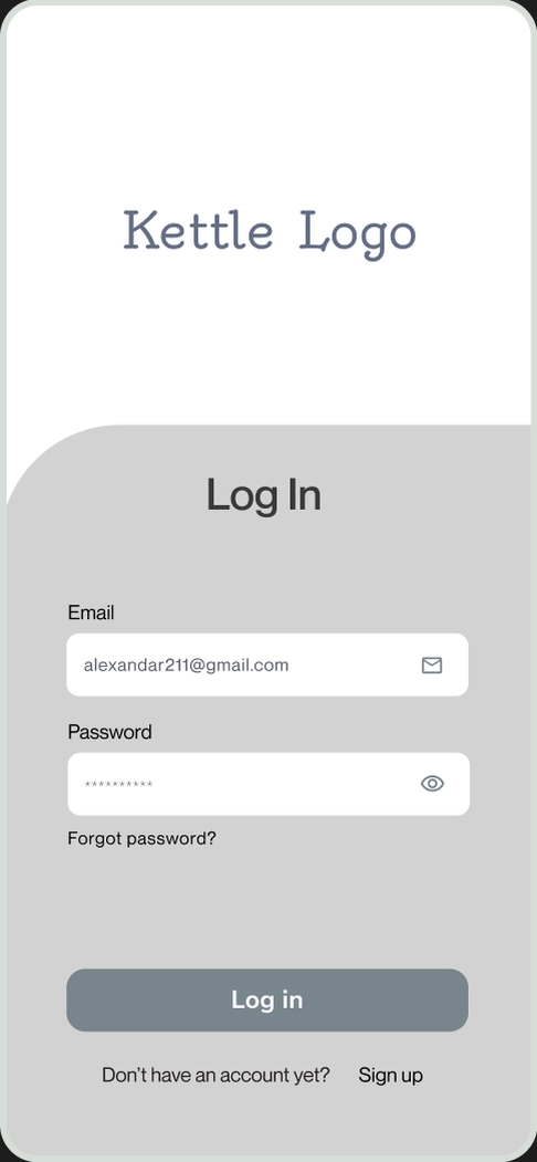Wireframe: log in with email and password